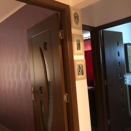 Apartament Cu 3 Camere La Poala Muntilor Fagaras Victoria  Exterior foto