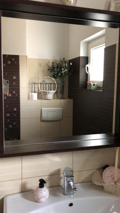 Apartament Cu 3 Camere La Poala Muntilor Fagaras Victoria  Exterior foto