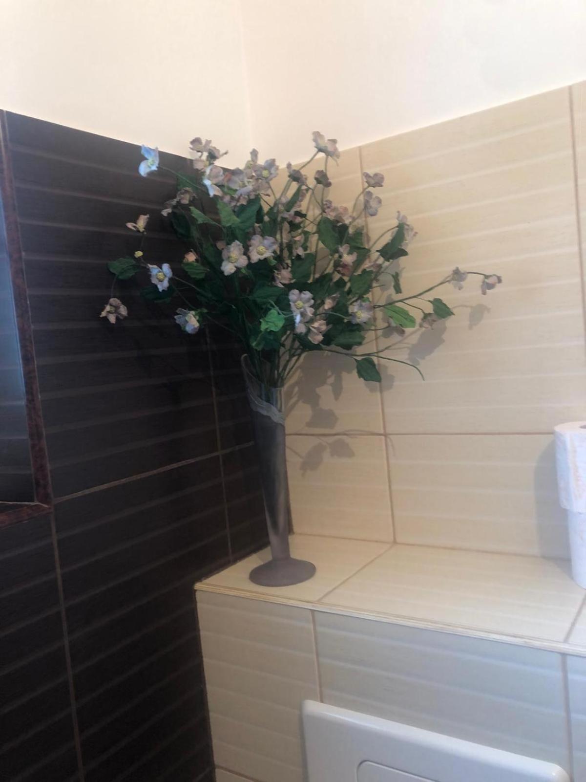 Apartament Cu 3 Camere La Poala Muntilor Fagaras Victoria  Exterior foto