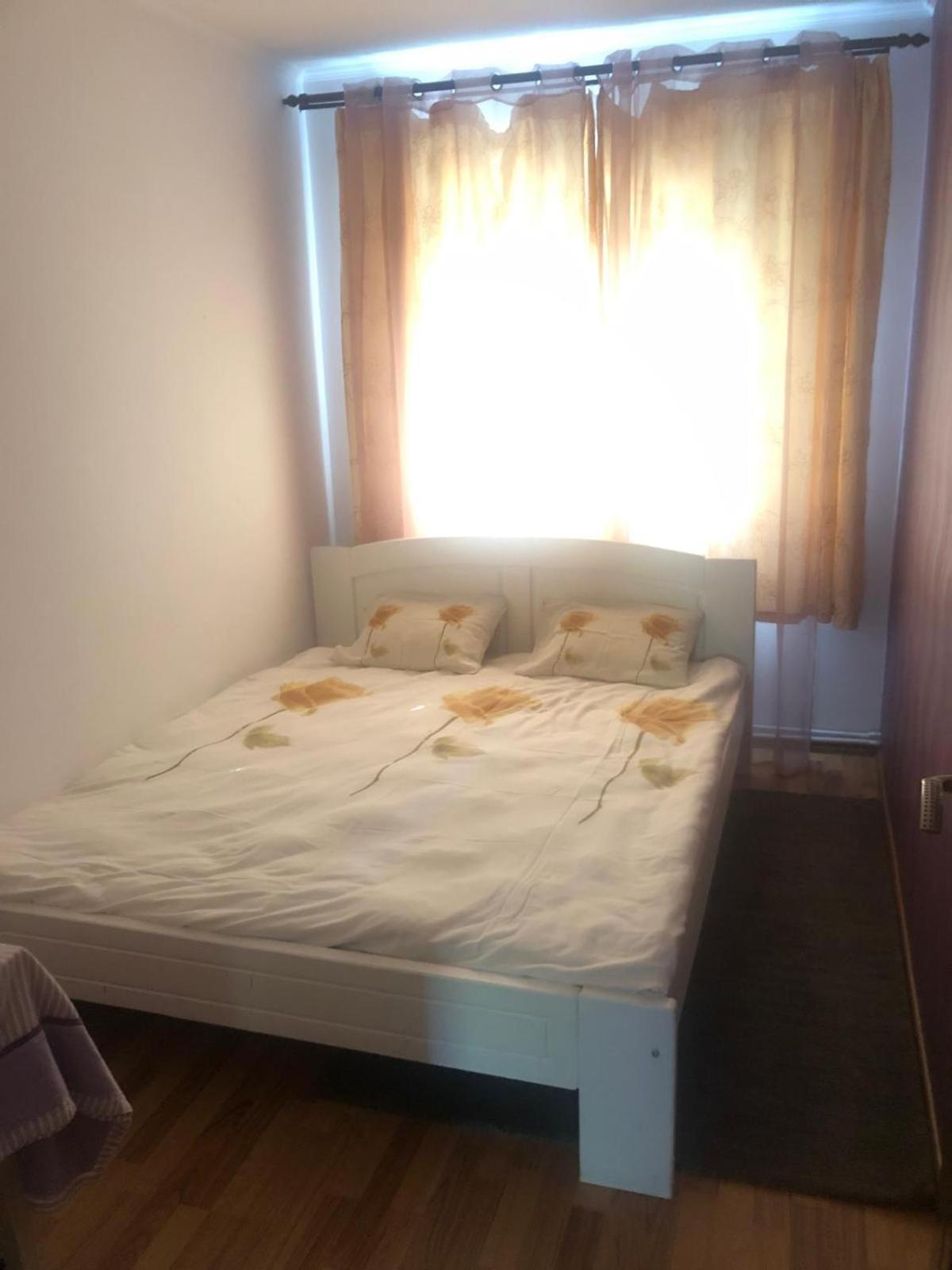 Apartament Cu 3 Camere La Poala Muntilor Fagaras Victoria  Exterior foto